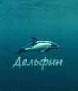 *my9*